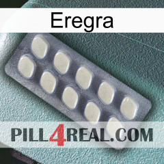 Eregra 08
